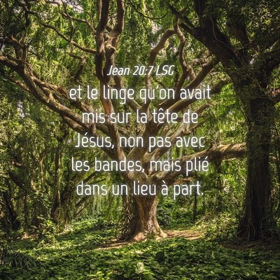 Picture 04 - Jean 20:7 LSG - et le linge qu'on avait mis sur la tête de - Bible Verse Picture