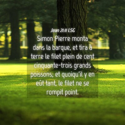 Picture 04 - Jean 21:11 LSG - Simon Pierre monta dans la barque, et tira à - Bible Verse Picture