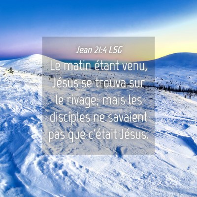 Picture 04 - Jean 21:4 LSG - Le matin étant venu, Jésus se trouva sur le - Bible Verse Picture