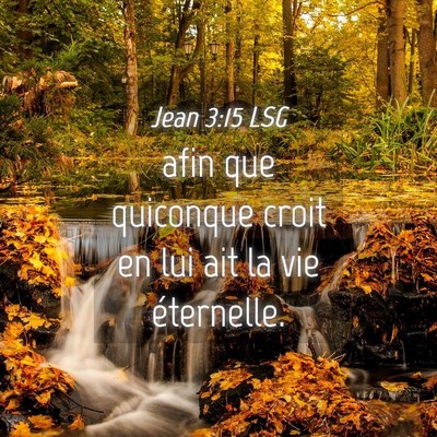 Picture 04 - Jean 3:15 LSG - afin que quiconque croit en lui ait la vie - Bible Verse Picture