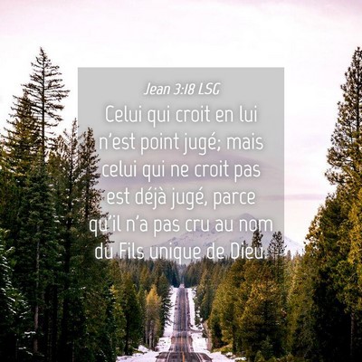 Picture 04 - Jean 3:18 LSG - Celui qui croit en lui n'est point jugé; mais - Bible Verse Picture