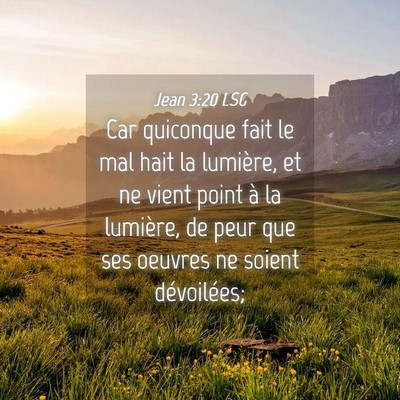 Picture 04 - Jean 3:20 LSG - Car quiconque fait le mal hait la lumière, et ne - Bible Verse Picture