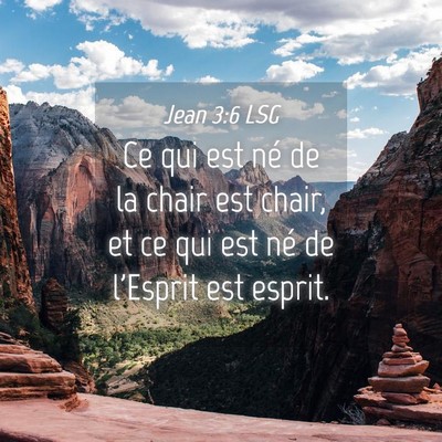 Picture 04 - Jean 3:6 LSG - Ce qui est né de la chair est chair, et ce qui - Bible Verse Picture