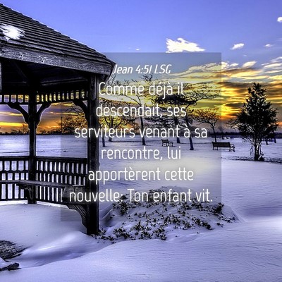 Picture 04 - Jean 4:51 LSG - Comme déjà il descendait, ses serviteurs venant - Bible Verse Picture