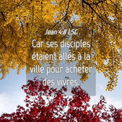 Picture 04 - Jean 4:8 LSG - Car ses disciples étaient allés à la ville - Bible Verse Picture