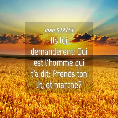 Picture 04 - Jean 5:12 LSG - Ils lui demandèrent: Qui est l'homme qui t'a - Bible Verse Picture