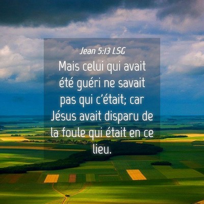 Picture 04 - Jean 5:13 LSG - Mais celui qui avait été guéri ne savait pas - Bible Verse Picture