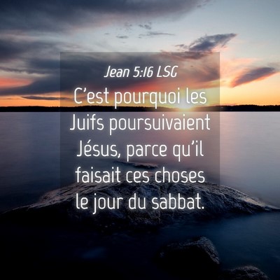 Picture 04 - Jean 5:16 LSG - C'est pourquoi les Juifs poursuivaient Jésus, - Bible Verse Picture