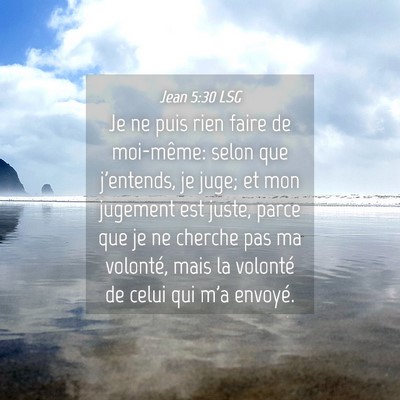 Picture 04 - Jean 5:30 LSG - Je ne puis rien faire de moi-même: selon que - Bible Verse Picture