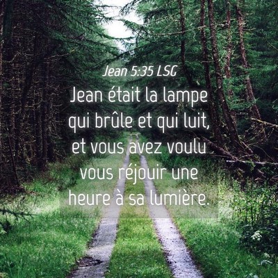 Picture 04 - Jean 5:35 LSG - Jean était la lampe qui brûle et qui luit, et - Bible Verse Picture