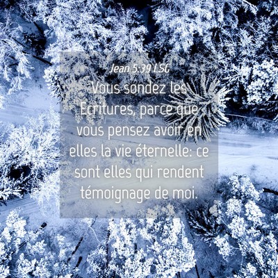 Picture 04 - Jean 5:39 LSG - Vous sondez les Ecritures, parce que vous pensez - Bible Verse Picture
