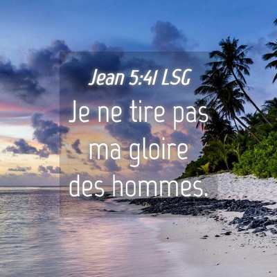Picture 04 - Jean 5:41 LSG - Je ne tire pas ma gloire des - Bible Verse Picture