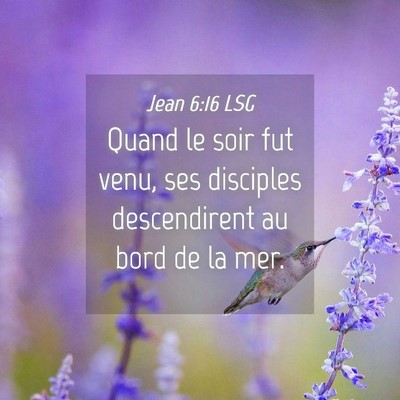 Picture 04 - Jean 6:16 LSG - Quand le soir fut venu, ses disciples - Bible Verse Picture