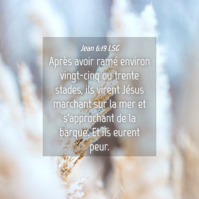 Picture 04 - Jean 6:19 LSG - Après avoir ramé environ vingt-cinq ou trente - Bible Verse Picture