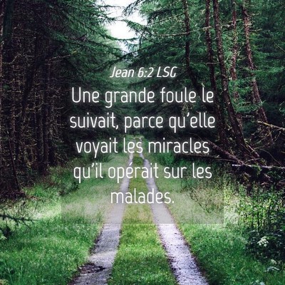 Picture 04 - Jean 6:2 LSG - Une grande foule le suivait, parce qu'elle voyait - Bible Verse Picture