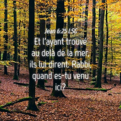 Picture 04 - Jean 6:25 LSG - Et l'ayant trouvé au delà de la mer, ils lui - Bible Verse Picture