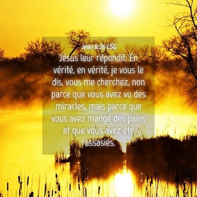 Picture 04 - Jean 6:26 LSG - Jésus leur répondit: En vérité, en vérité, - Bible Verse Picture