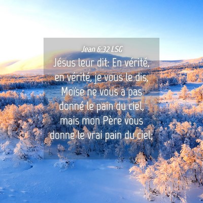 Picture 04 - Jean 6:32 LSG - Jésus leur dit: En vérité, en vérité, je - Bible Verse Picture