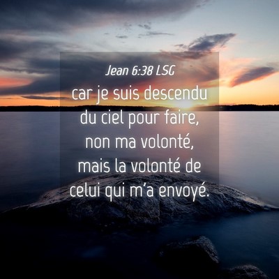 Picture 04 - Jean 6:38 LSG - car je suis descendu du ciel pour faire, non ma - Bible Verse Picture