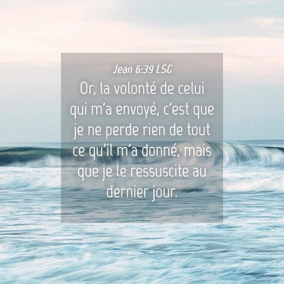 Picture 04 - Jean 6:39 LSG - Or, la volonté de celui qui m'a envoyé, c'est - Bible Verse Picture