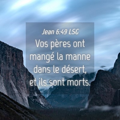 Picture 04 - Jean 6:49 LSG - Vos pères ont mangé la manne dans le désert, - Bible Verse Picture