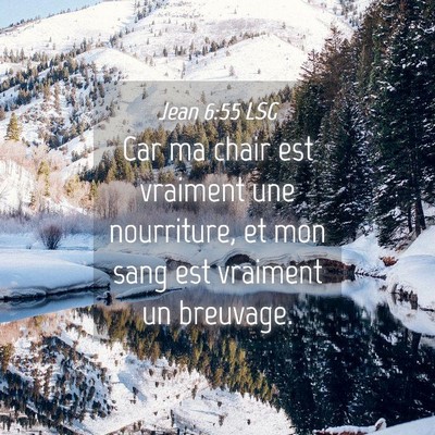 Picture 04 - Jean 6:55 LSG - Car ma chair est vraiment une nourriture, et mon - Bible Verse Picture