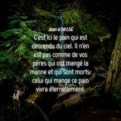 Picture 04 - Jean 6:58 LSG - C'est ici le pain qui est descendu du ciel. Il - Bible Verse Picture
