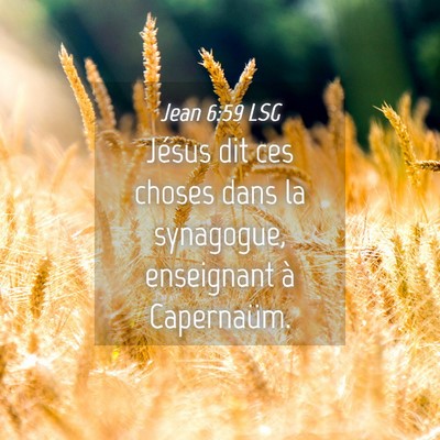 Picture 04 - Jean 6:59 LSG - Jésus dit ces choses dans la synagogue, - Bible Verse Picture