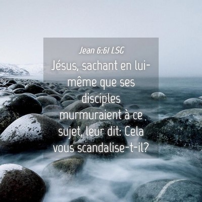 Picture 04 - Jean 6:61 LSG - Jésus, sachant en lui-même que ses disciples - Bible Verse Picture