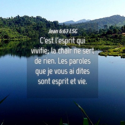 Picture 04 - Jean 6:63 LSG - C'est l'esprit qui vivifie; la chair ne sert de - Bible Verse Picture