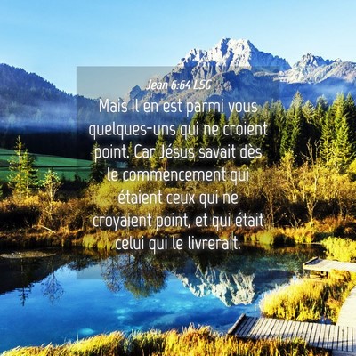 Picture 04 - Jean 6:64 LSG - Mais il en est parmi vous quelques-uns qui ne - Bible Verse Picture