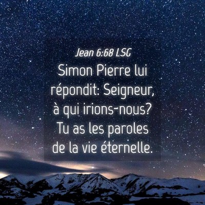 Picture 04 - Jean 6:68 LSG - Simon Pierre lui répondit: Seigneur, à qui - Bible Verse Picture