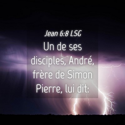 Picture 04 - Jean 6:8 LSG - Un de ses disciples, André, frère de Simon - Bible Verse Picture