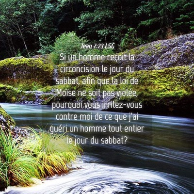 Picture 04 - Jean 7:23 LSG - Si un homme reçoit la circoncision le jour du - Bible Verse Picture
