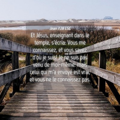 Picture 04 - Jean 7:28 LSG - Et Jésus, enseignant dans le temple, s'écria: - Bible Verse Picture