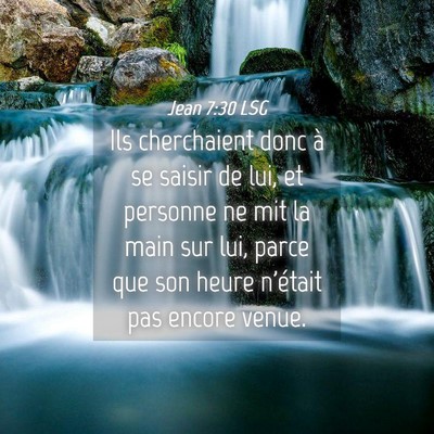 Picture 04 - Jean 7:30 LSG - Ils cherchaient donc à se saisir de lui, et - Bible Verse Picture