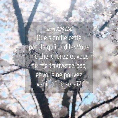 Picture 04 - Jean 7:36 LSG - Que signifie cette parole qu'il a dite: Vous me - Bible Verse Picture