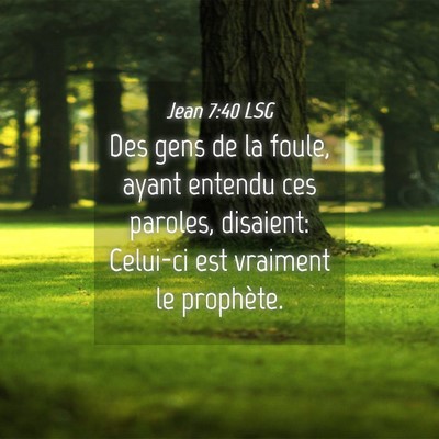 Picture 04 - Jean 7:40 LSG - Des gens de la foule, ayant entendu ces paroles, - Bible Verse Picture