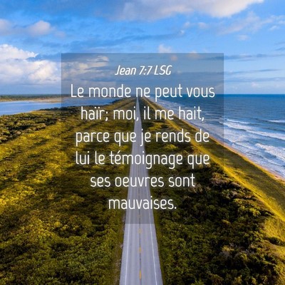 Picture 04 - Jean 7:7 LSG - Le monde ne peut vous haïr; moi, il me hait, - Bible Verse Picture