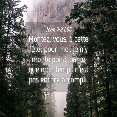 Picture 04 - Jean 7:8 LSG - Montez, vous, à cette fête; pour moi, je n'y - Bible Verse Picture
