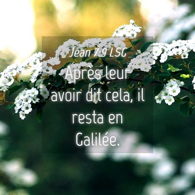 Picture 04 - Jean 7:9 LSG - Après leur avoir dit cela, il resta en - Bible Verse Picture