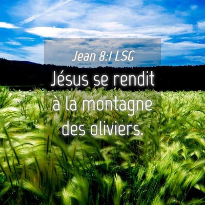 Picture 04 - Jean 8:1 LSG - Jésus se rendit à la montagne des - Bible Verse Picture