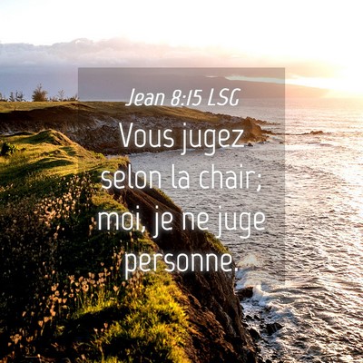 Picture 04 - Jean 8:15 LSG - Vous jugez selon la chair; moi, je ne juge - Bible Verse Picture