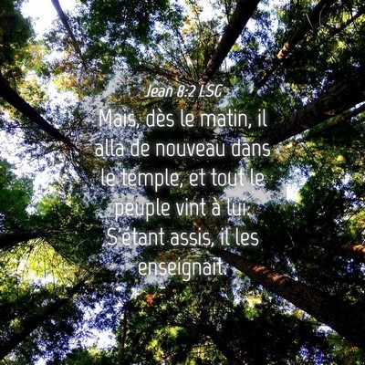 Picture 04 - Jean 8:2 LSG - Mais, dès le matin, il alla de nouveau dans le - Bible Verse Picture