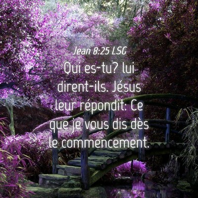 Picture 04 - Jean 8:25 LSG - Qui es-tu? lui dirent-ils. Jésus leur répondit: - Bible Verse Picture