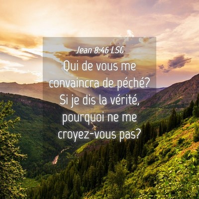 Picture 04 - Jean 8:46 LSG - Qui de vous me convaincra de péché? Si je dis - Bible Verse Picture