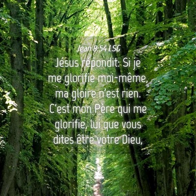 Picture 04 - Jean 8:54 LSG - Jésus répondit: Si je me glorifie moi-même, ma - Bible Verse Picture