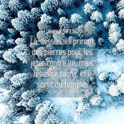 Picture 04 - Jean 8:59 LSG - Là-dessus, ils prirent des pierres pour les - Bible Verse Picture