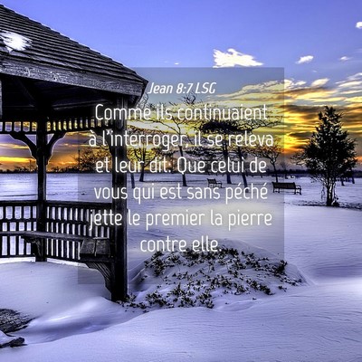 Picture 04 - Jean 8:7 LSG - Comme ils continuaient à l'interroger, il se - Bible Verse Picture