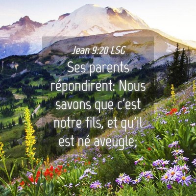 Picture 04 - Jean 9:20 LSG - Ses parents répondirent: Nous savons que c'est - Bible Verse Picture